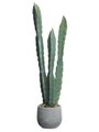 25" Column Cactus in Cement Pot  Green Gray