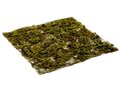 20"Wx20"L Moss/Fern Sheet  Green