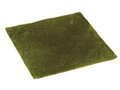 14"Wx14"L Square Moss Sheet  Green