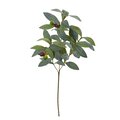 23” Olive Spray Artificial Plant (Set Of 24)