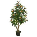 48 inches  Orange Tree w/Pot