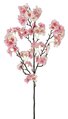 35 Inch Cherry Blossom Branch - Rose/Cream (Sold Per Piece)