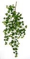 57 Inch Hanging Sage Ivy Vine