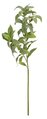 24 Inch Flocked Sage Spray