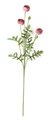 Earthflora's 22 Inch Ranunculus Flower-mauve (Sold By The Dozen)