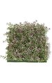10 inches Plastic Boxwood Mat - 3 inches Height - Purple/Green