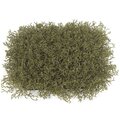 12" x 12" Plastic Indoor/Outdoor Wild Weed Grass Mat 