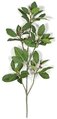 Earthflora's 24 Inch Mangrove Branch (Sold Per Piece) Fire Retardant  Or Regular