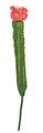 13.5 inches Plastic Cactus Stem - Green/Red - Bare Stem