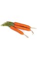 14" Plastic Carrots with Leaves - 4 Pcs Per Bag - Orange