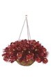 14 inches x 27 inches Hanging Ornament Basket - 145 Tips - 50 Warm White LED Lights