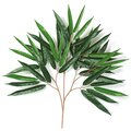 Earthflora's 25 Inch Fire Retardant  Weeping Ficus Alii Branch (Sold By The Dozen)
