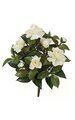 15 inches Gardenia Bush - 6 White Flowers - 2 White Buds - Bare Stem