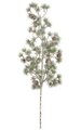 18" Plastic Glittered Pine Spray - Pine Cones - White/Green