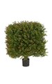 18 inches x 24 inches Plastic Outdoor Wintergreen Boxwood Square Topiary - Green/Red