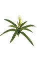 19" Sword Plant - 10 Green Leaves - 4 Cream Flowers