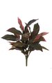20" Cordyline Plant - 28 Leaves - Fuchsia/Green - Bare Stem