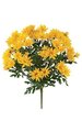 20" Daisy Bush - 45 Yellow Flowers - 12" Width - Bare Stem