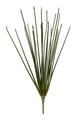 21" Spiky Grass Bush - 22 Green Wired Stems - Bare Stem