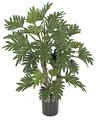 40 inches Selloum Philo Plant - 39 Green Leaves - Weighted Base