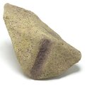 Earthflora's 12 Inch Medium Plastic Rock-rust