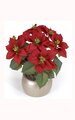 23 inches Poinsettia Bush - 24 Leaves - 7 Flowers - Red - Bare Stem