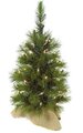 24 inches Jack Pine Christmas Tree - 60 Green Tips - Clear Lights - Brown Burlap Base