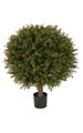 24" Plastic Outdoor  Wintergreen Boxwood Ball Topiary - Green/Red
