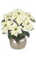24" Poinsettia Bush - 36 Leaves - 7 Flowers - Cream - Bare Stem