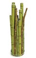 26" Bamboo Decorative Container in Glass Stand - Green