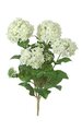 Hydrangea Bush - 30 Green Leaves - 4 Cream/Yellow Flowers - 3 Buds