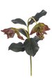 27 inches Medinilla Stem - Soft Touch - 6 Leaves - 2 Flowers - Burgundy