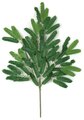 27" Mimosa Branch - 54 Green Leaves - FIRE RETARDANT