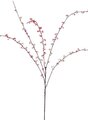 Earthflora's 36 Inch Japanese Serissa Branch
