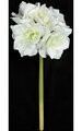 28 inches Amaryllis Stem - White