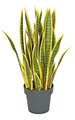 28 inches Plastic Sansevieria Plant - 27 Yellow/Green Leaves