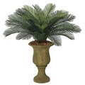 A-0024  3' Outdoor Cycas Palm Cluster - 24 Fronds - 44" Width - Tutone Green- Custom Made