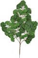 Earthflora's 23 Inch Ifr Ginkgo Branch (Sold By The Dozen)
