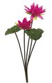 30" Lotus Bush - 2 Leaves - 2 Flowers - Fuchsia
