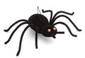 Earthflora's 4 Inch X 19 Inch Fuzzy Black Spider