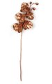 31 inches Plastic Butterfly Orchid Spray - 5 Copper Flowers - 3 Buds