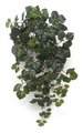 31 inches Danica Ivy Bush - 280 Leaves - Green