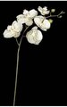Velvet Phalaenopsis Spray with Glitter/Jeweled/Silver Trim - 5 Flowers