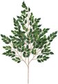 33" Nitida Ficus Branch - 191 Leaves - Green - FIRE RETARDANT