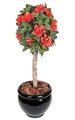 3.5' Plastic Hibiscus Ball Topiary - Natural Trunk - Red - Custom Made