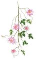 36 inches Clematis Vine - 24 Green Leaves - 5 Pink/Cream Flowers - 2 Buds