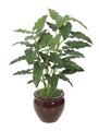PR-87030  36 inches Philodendron - Green - Bare Stem - Green - FIRE RETARDANT