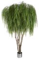 Earthflora's 15 Foot Custom Weeping Willow Tree