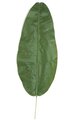 39" Banana Palm Leaf - Green