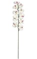39 inches Butterfly Orchid Spray- FIRE RETARDANT -White, Dark Orchid and Pink Colors